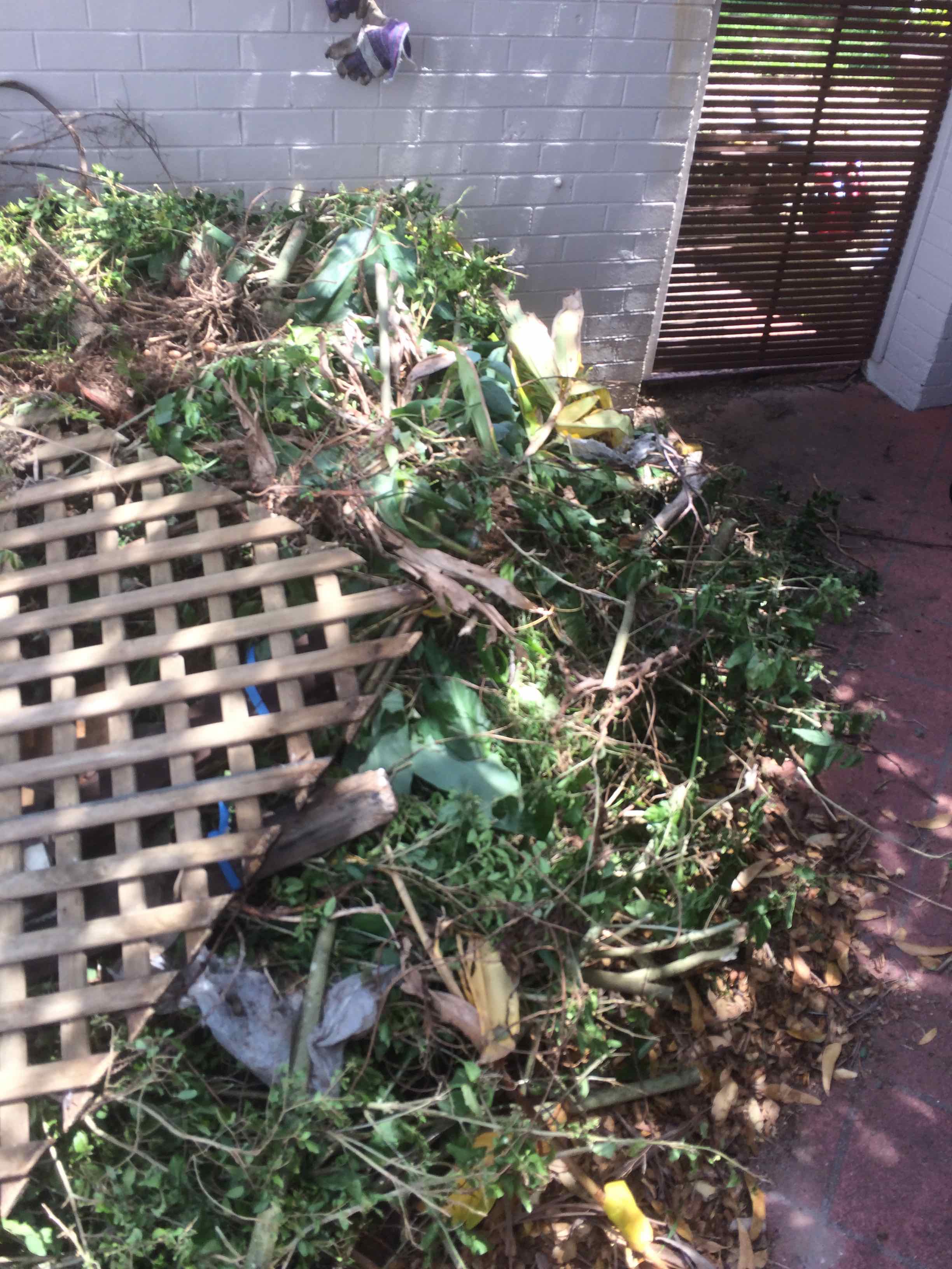 Bronte Garden Waste Rubbish Removal